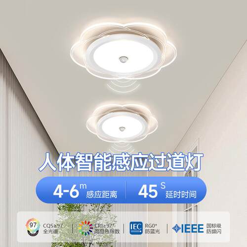 人体感应灯过道灯led玄关阳台自动光控走廊楼梯卧室衣柜中山灯具