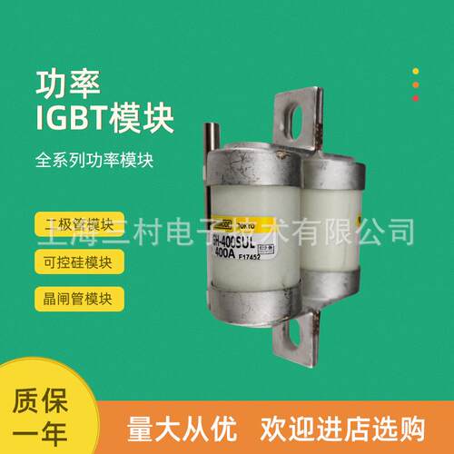 熔断器保险丝1000GH-16 20 25 32 40 50 63 80 100 125 160ULTC