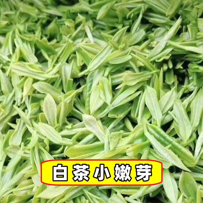 安吉产白茶2026新茶正宗明前春茶安吉高山珍稀白茶送礼自己喝茶叶