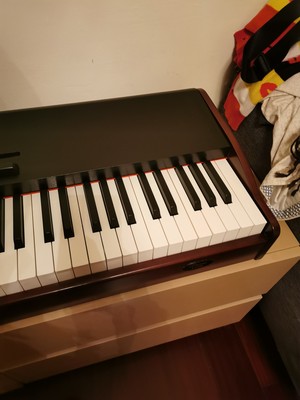 业界评测罗萨电钢琴怎么样?音质音色好不好呢?