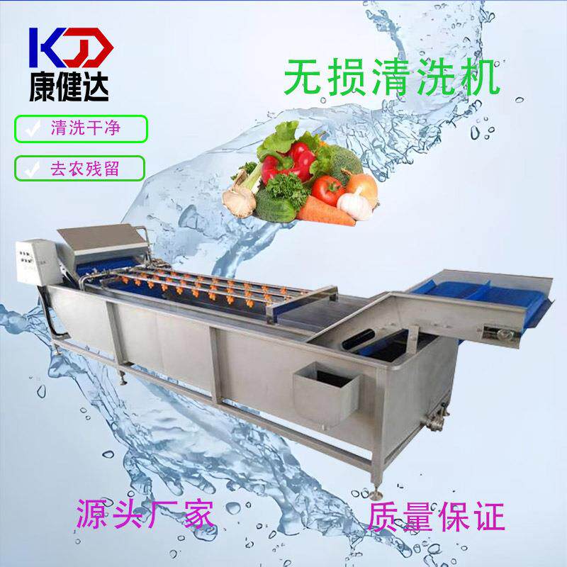 苹果鼓泡清洗机多功能水果蔬菜气泡清洗设备适用鲍鱼贝类