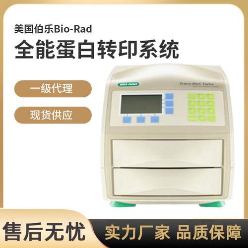 美国Bio-Rad快速伯乐蛋白全能转印Turbo系统Trans-Biot转膜仪