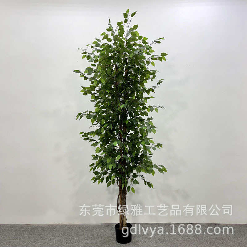 胶真造景榕过仿真盆栽假杆装饰榕树小迷你人造榕树植绿白边树客厅