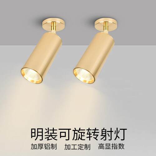 ed明装射灯服店铺吊灯吸天顶射灯花灯免开孔过装道客厅l833可调角