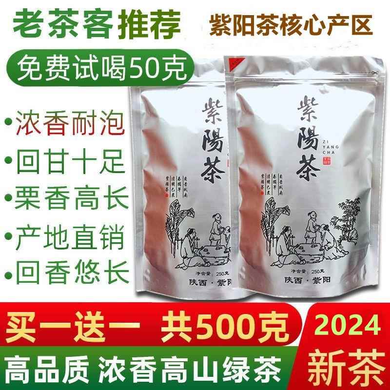 2024新茶陕西安康绿茶 正宗紫阳茶叶炒青茶毛尖陕青散装茶叶500克