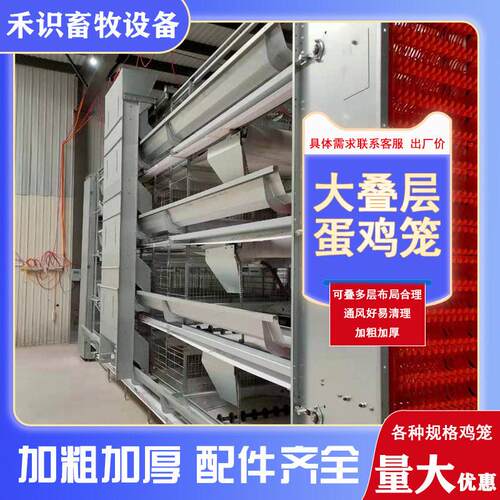 定制全自动大层叠蛋鸡笼一体化翻转式捡蛋清粪养殖笼具镀锌蛋鸡笼