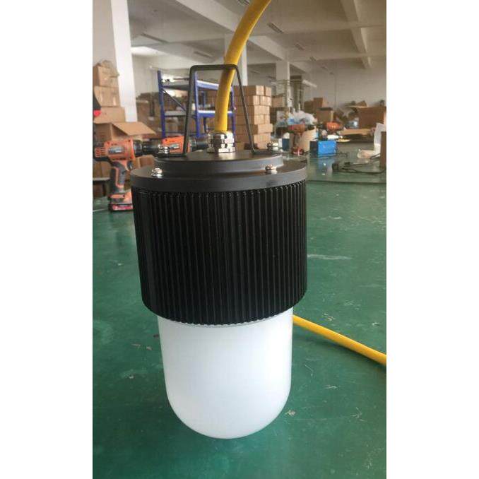 50W LED 防爆行灯