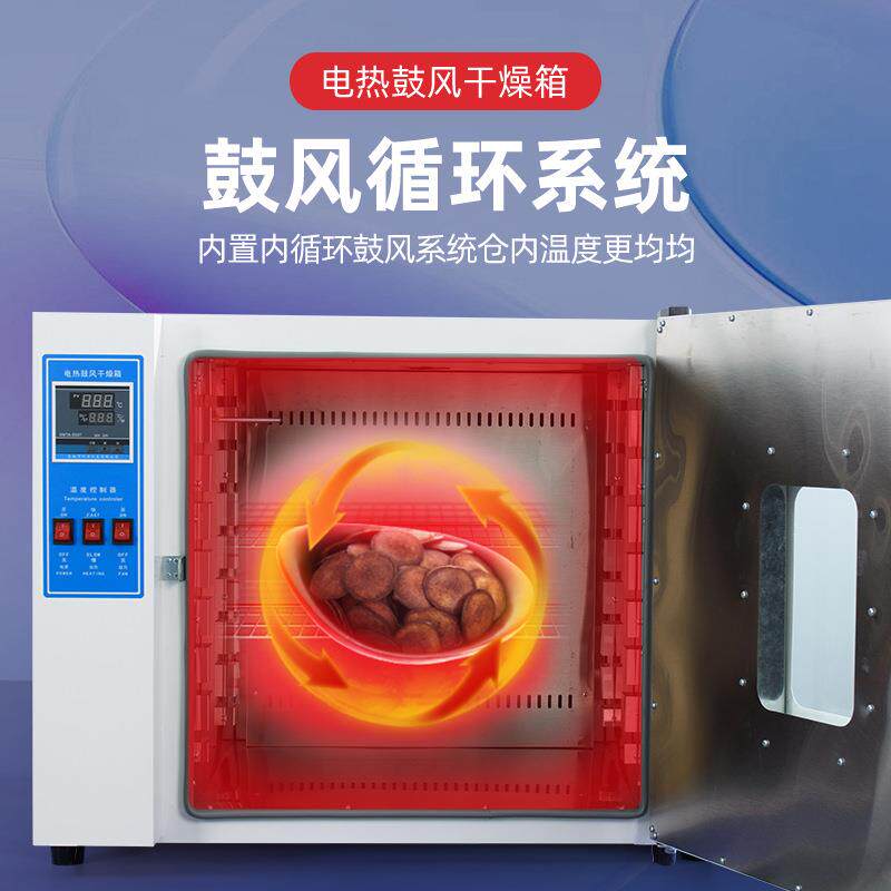 乾宛电热恒温鼓风干燥箱工业大灯高温烘箱烤箱实验室高温烘干机箱
