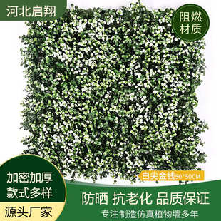 饰墙尤加利隔档通道配材永生 白尖金钱仿真植物墙造景室内外绿植装