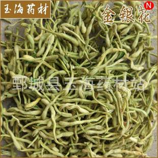 金银花 玉海 各种