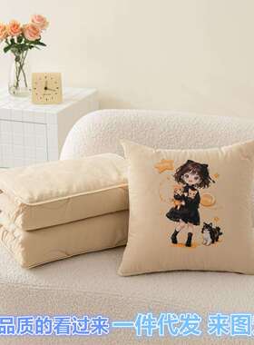 抱被子两二合用一加厚枕四季通用车载垫抱枕沙发靠ZIR办公室午休