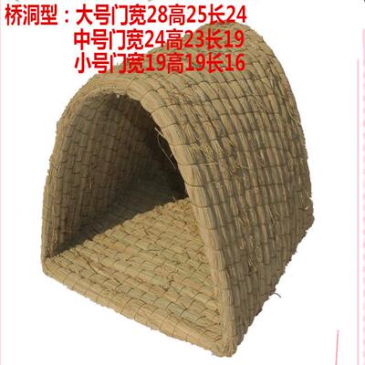 荷兰猪货源供应仓鼠松鼠豚鼠摆件