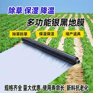 农用地膜加厚银黑双色反光膜果树玉米瓜果辣椒除草除去蚜虫银光