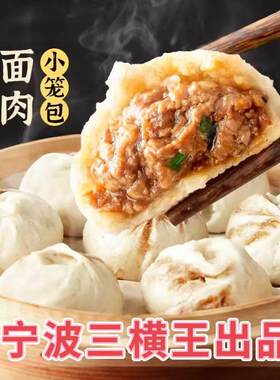 【宁波三横王出品老面鲜肉小笼包】煎包鲜肉灌汤包早餐包子面点