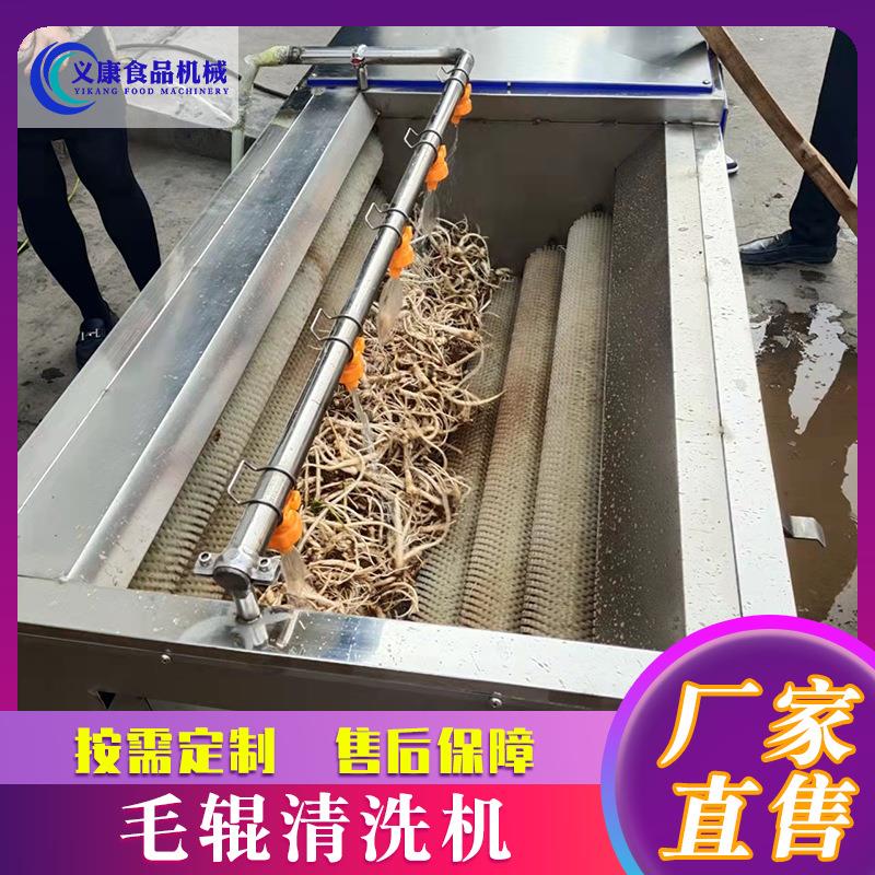 药材清洗机 大枣红枣清洗机设备 山药豆马蹄毛辊清洗机设备