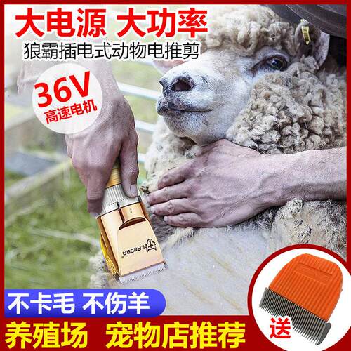 狼霸带线 线大功率宠物电推剪36v剃羊毛电推剪绵羊绒山羊电动剪毛