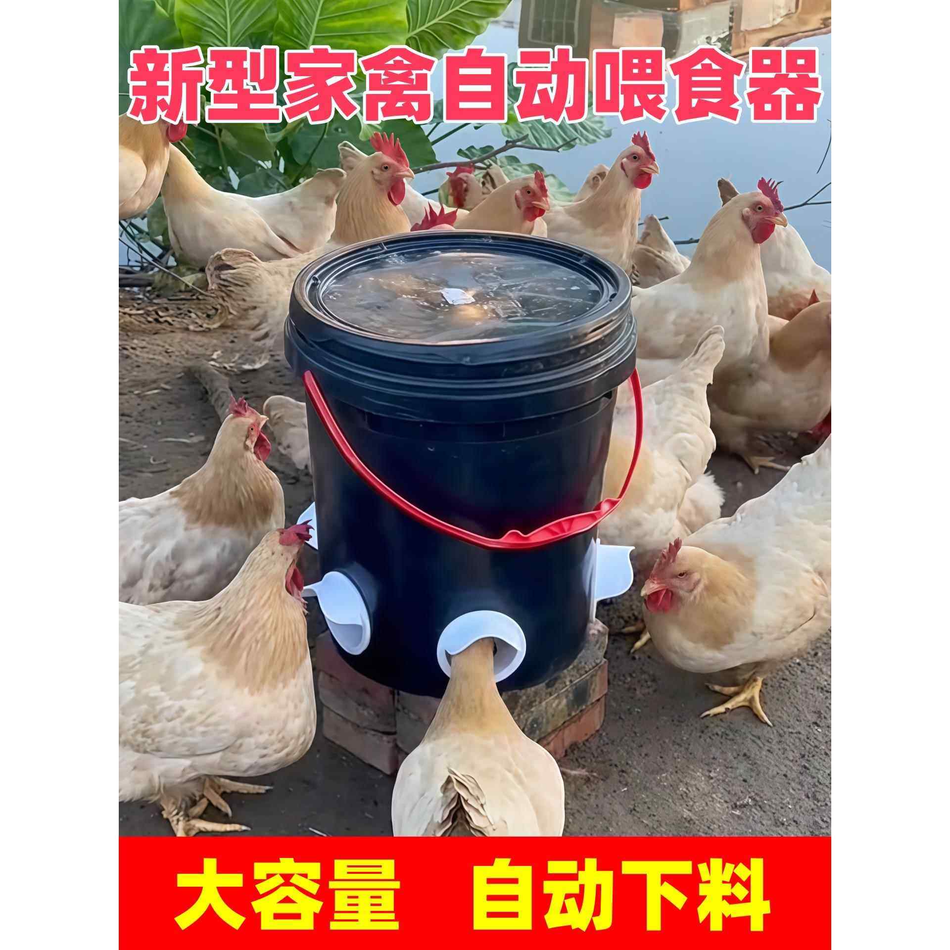鸡食槽大号养鸡专用饲料桶家禽自动喂食器鸡鸭鹅新款全自动下料器,宠物/宠物食品及用品,鸟禽喂食器/喂水器,淘宝优惠券,粉丝福利购,淘宝优惠卷