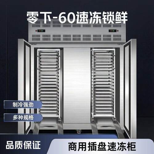 商用低温速冻机零下45度60度急冻海鲜水果面点肉类冰淇淋大型