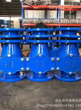 水表伸缩过滤器BAFA-10Q自来水工程用DN50DN65DN80DN100