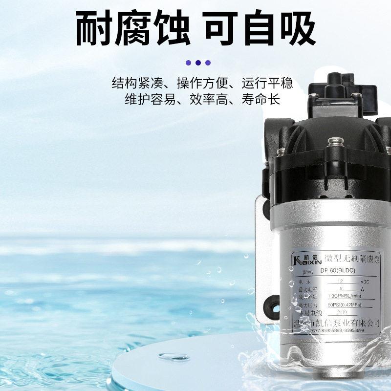无刷水泵耐腐蚀DP-60喷洒电机饮水机净水器压路机微型压隔膜泵