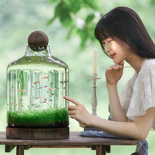 厂直销生态鱼瓶玻璃鱼缸微景观鱼虾水草自循环办公室迷你植物花瓶
