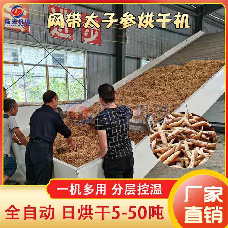 网带太子参烘干机贵州太子参材烘干设备双批七四叶参干燥机