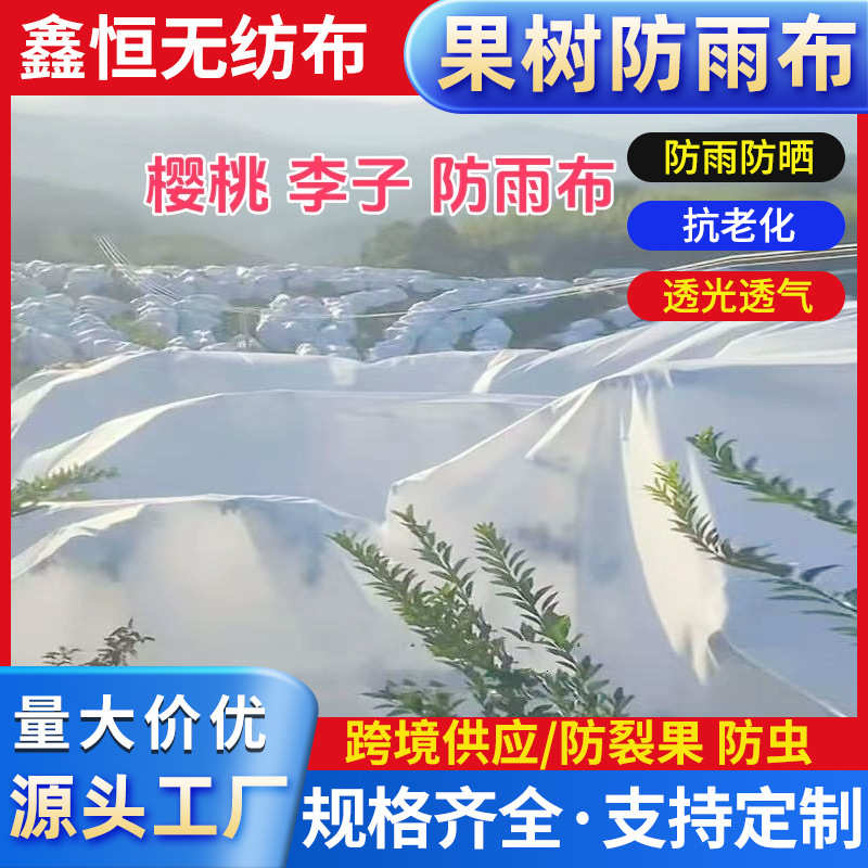 樱桃李子枇杷果园白色防雨布防晒防虫水果树专用遮雨布果树防雨布