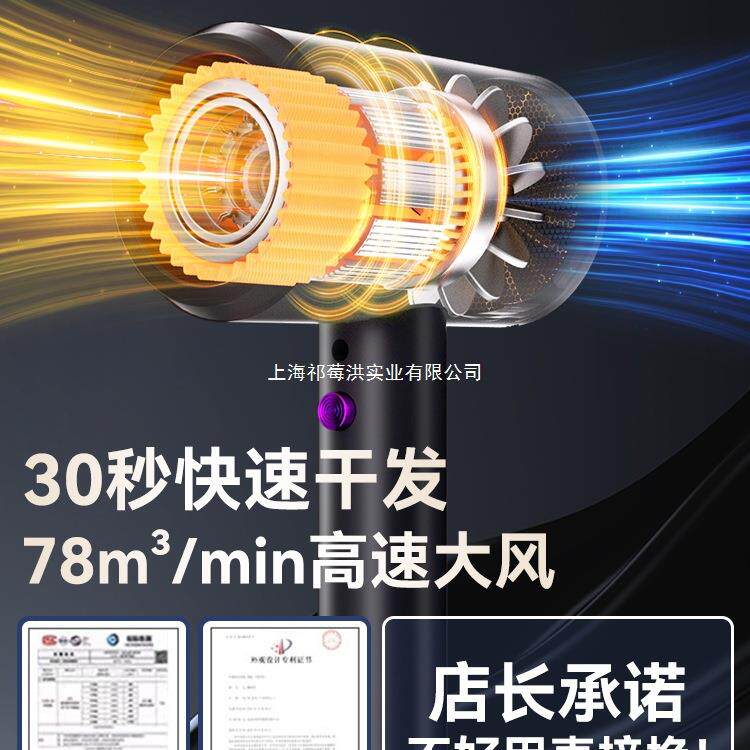 戴利普吹风机家用宿舍学生负离子护发大风力速干电风筒小功率800w