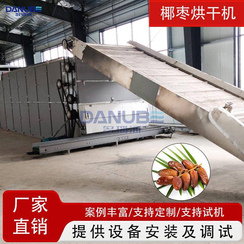 全自动椰枣烘干机连续式海枣波斯枣枣椰子清洗干燥包装全套设备