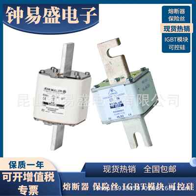 R2216000 R2216004 R2216200 R2216204金米勒JEAN MULLER熔断器