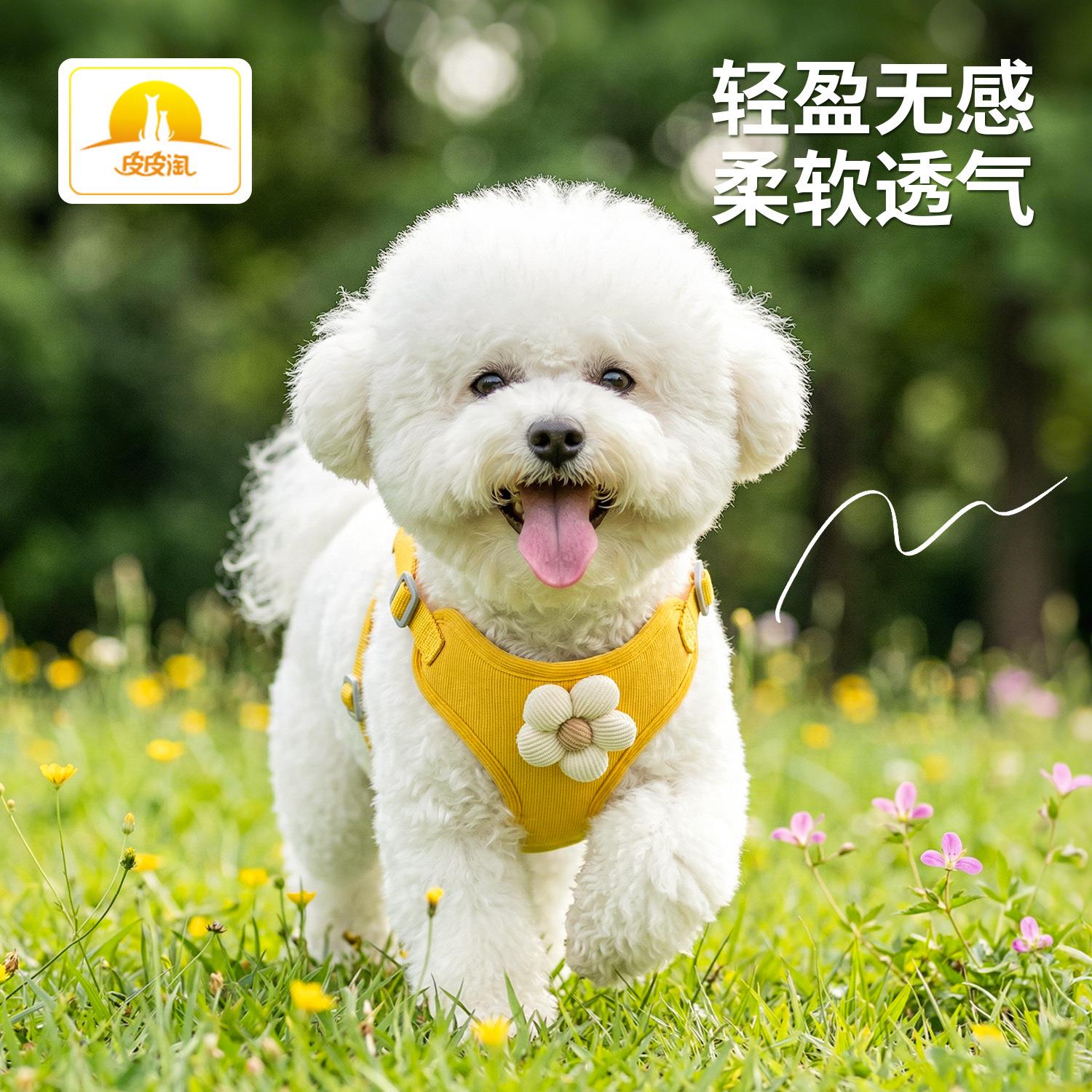 皮皮淘花瓣胸背带宠物牵引绳猫咪幼犬狗绳牵引用品狗狗牵引