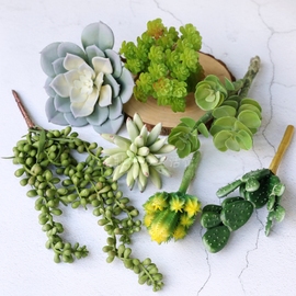 仿真多肉植物仙人掌绿色，人造假花墙室内造景家居装饰品摆设件组合