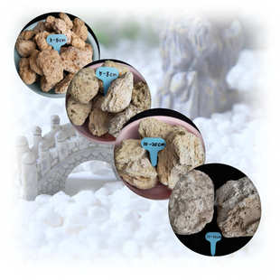 颗粒造景植物多水族铺面轻石鱼缸兰花石批发土肉颗粒浮石大量轻石