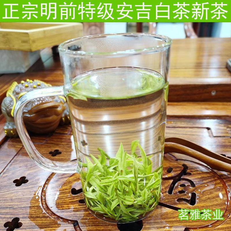 现货安吉白茶2026新茶春茶 明前特级茶叶250g散装绿茶 高山原产地