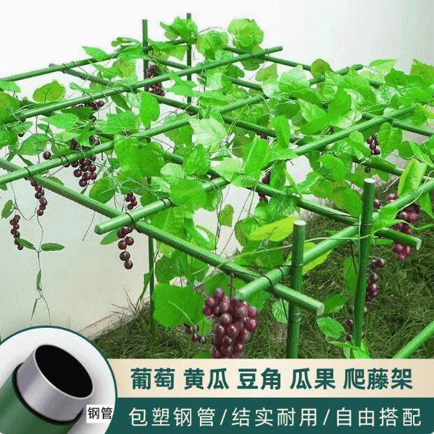 架萄包架子户外室葡外园艺爬藤架塑钢管爬苦瓜架1藤支架百香果葡