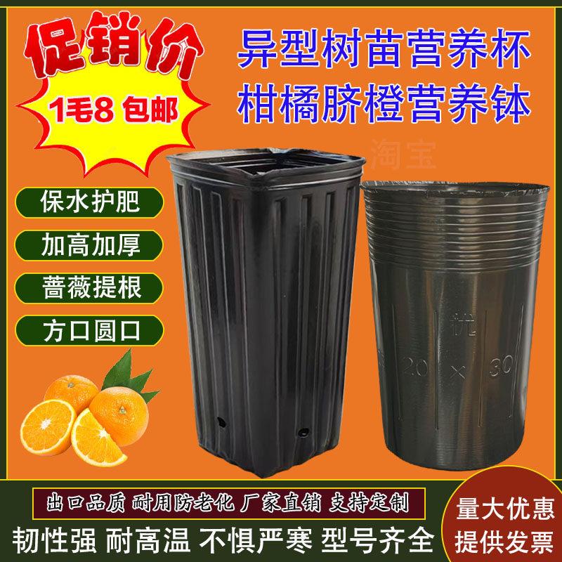 加高加深蔷薇提根脐橙方口营养钵柑橘塑料育苗袋营养杯育苗杯加厚