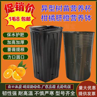 加高加深蔷薇提根脐橙方口营养钵柑橘塑料育苗袋营养杯育苗杯加厚