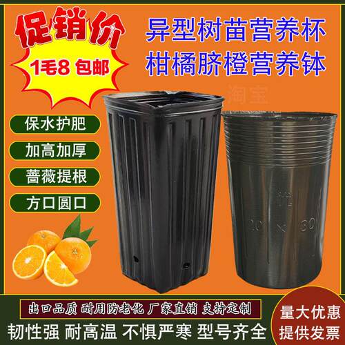加高加深蔷薇提根脐橙方口营养钵柑橘塑料育苗袋营养杯育苗杯加厚