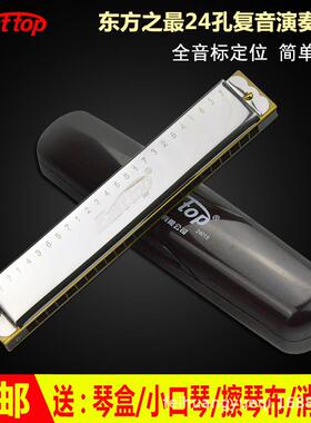 东方鼎24孔复音口琴 c调 t2401s成人 儿童初学口琴