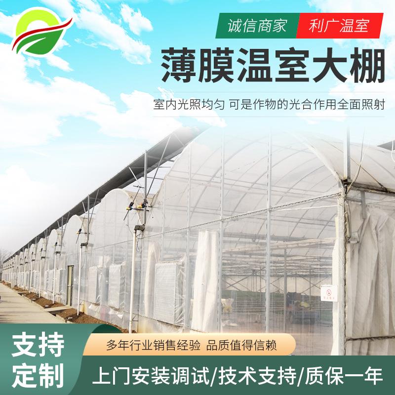 智能温室无土栽培设备温室工程景观观赏物温室立体栽培设施图片