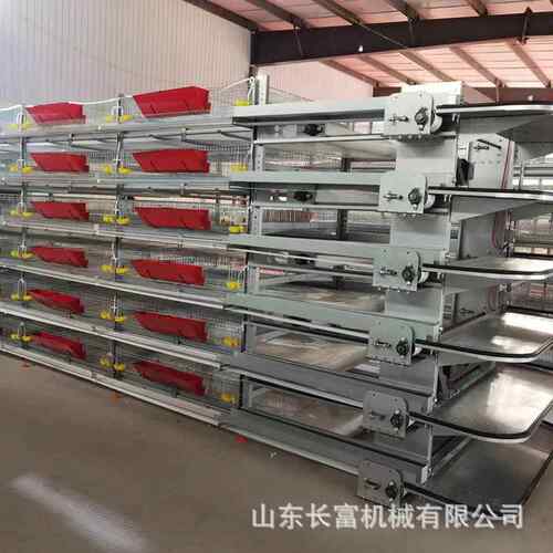 自动1053层4层蛋鸡鸽养殖笼具/框架式养鹌鹑设全备养子设备厂家