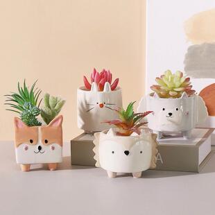 Cute Hedgehog Rabbit Ceramic Flowerpot Succulent Planter