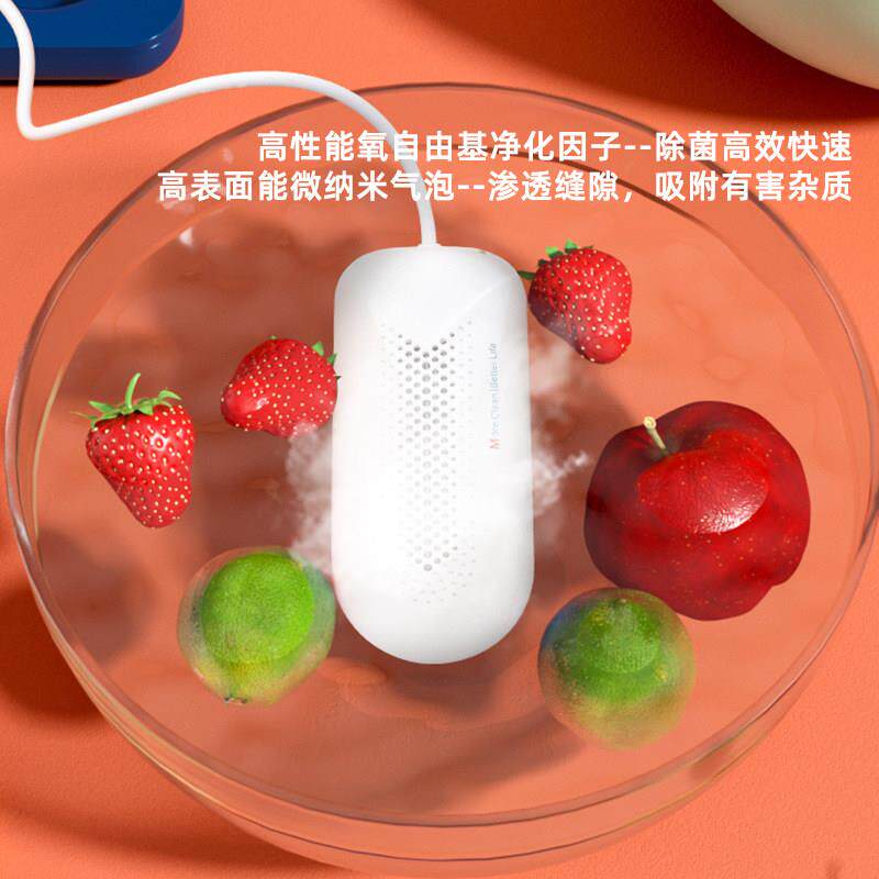 多用途电解臭氧水生成机蔬果清洗解毒净化机活氧水消毒杀菌除农残