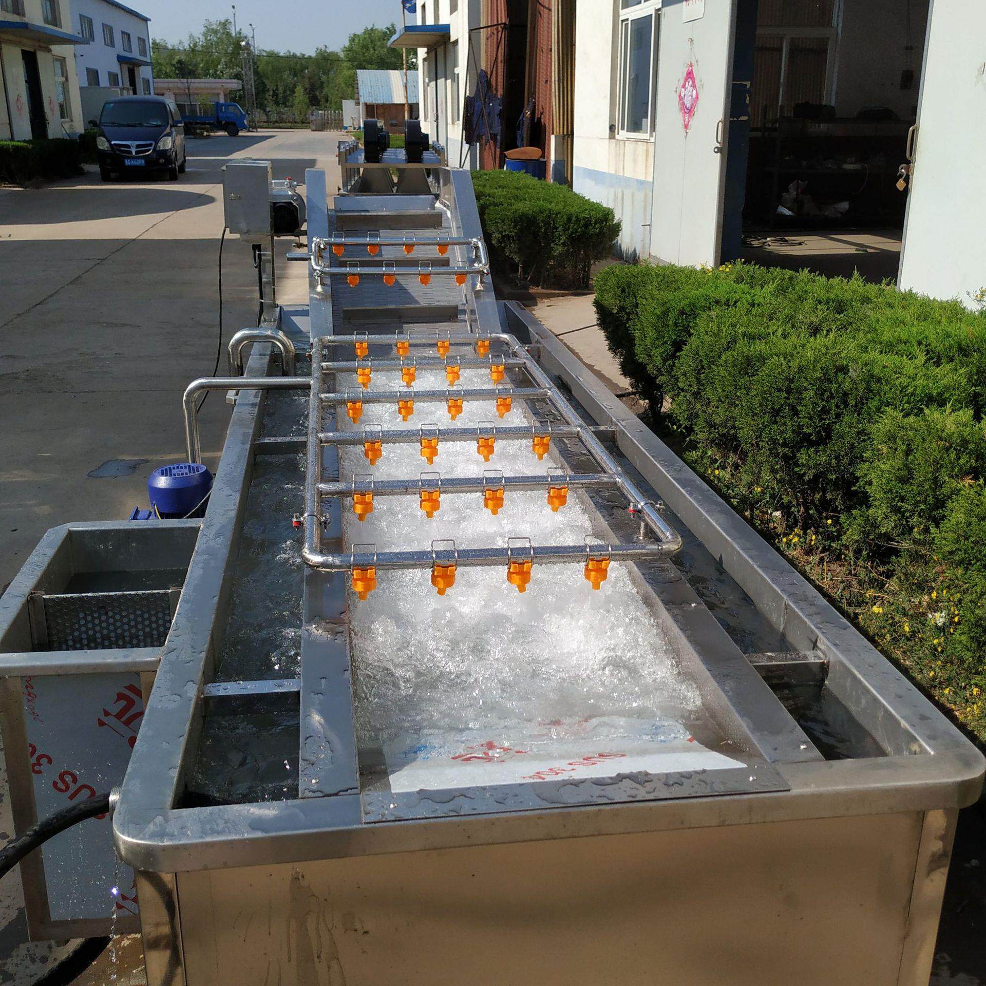 鱿鱼清洗机 厂家可定做 气泡式海产品清洗机 黄花鱼清洗设备