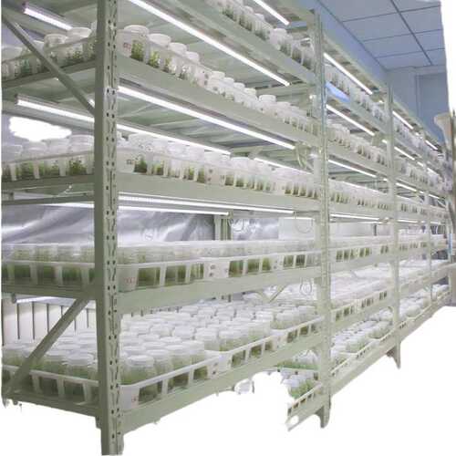 生长培养多层生长组批发植物实验室架架光照led育苗植物架培架