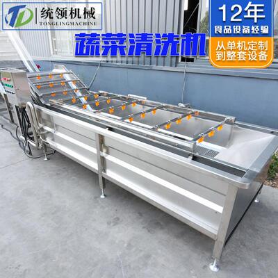 多功能蔬菜气泡清洗机灯笼果喷淋式果蔬清洗线价格黄瓜清洗机