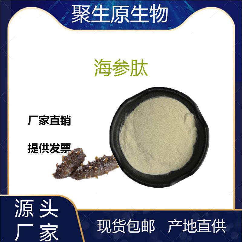 海参肽99%海参小分子蛋白肽海参提取物小于500Da现货