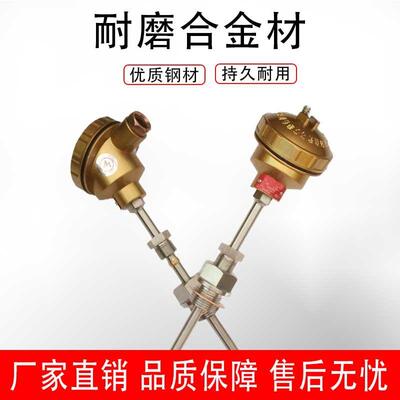 上海WRNN2-230M耐磨热电偶 高温合金钢Ni60涂层WRNM-230M双支测温