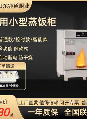蒸饭柜蒸饭车小型家用小4盘6盘220V电热蒸箱包子饭店家用蒸饭机