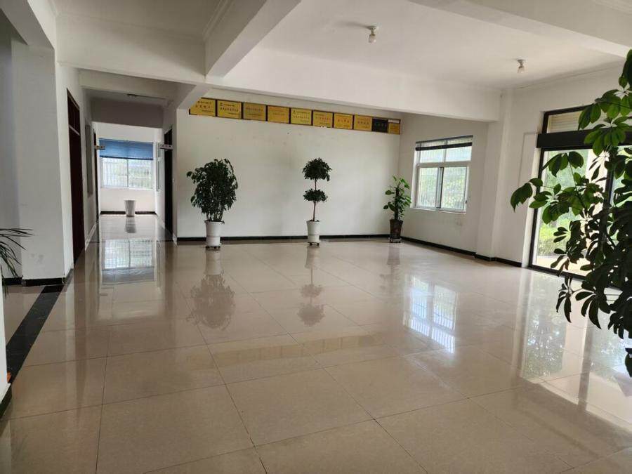 3月14日阜阳农林公司（约15.8亩）工业房地产及附属物网络拍卖公告